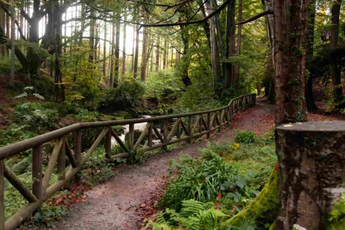 Tollymore Forest Park, Irlanda del Nord
